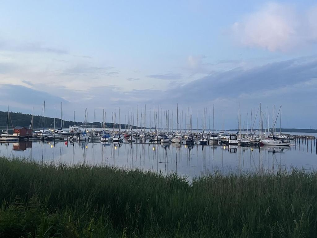 'Kapitaenslounge' Vollsanierte Fewo Mit Blick Auf Die Flensburger Foerde Harrislee Exteriör bild