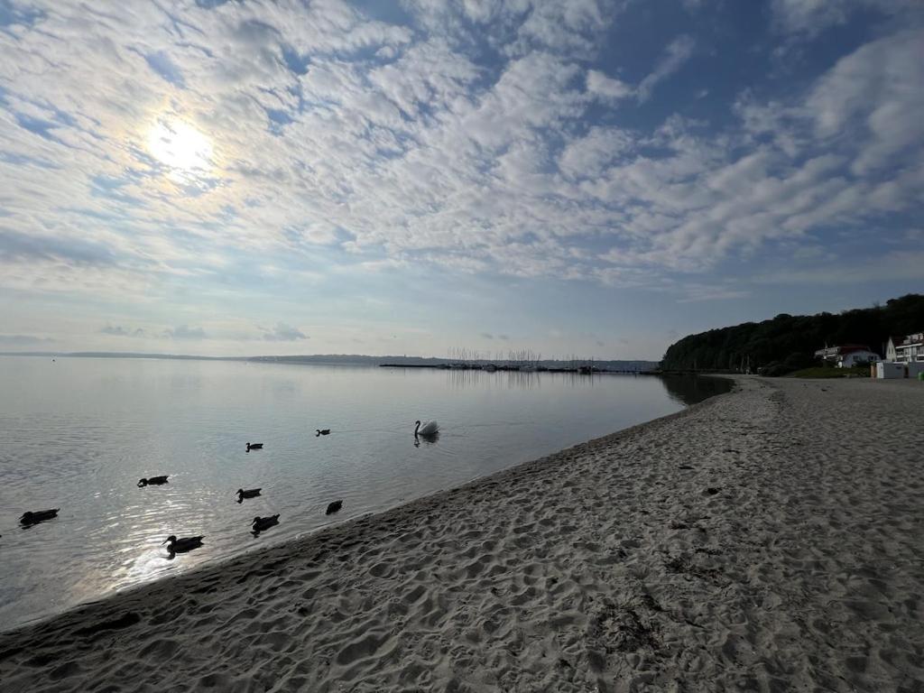'Kapitaenslounge' Vollsanierte Fewo Mit Blick Auf Die Flensburger Foerde Harrislee Exteriör bild