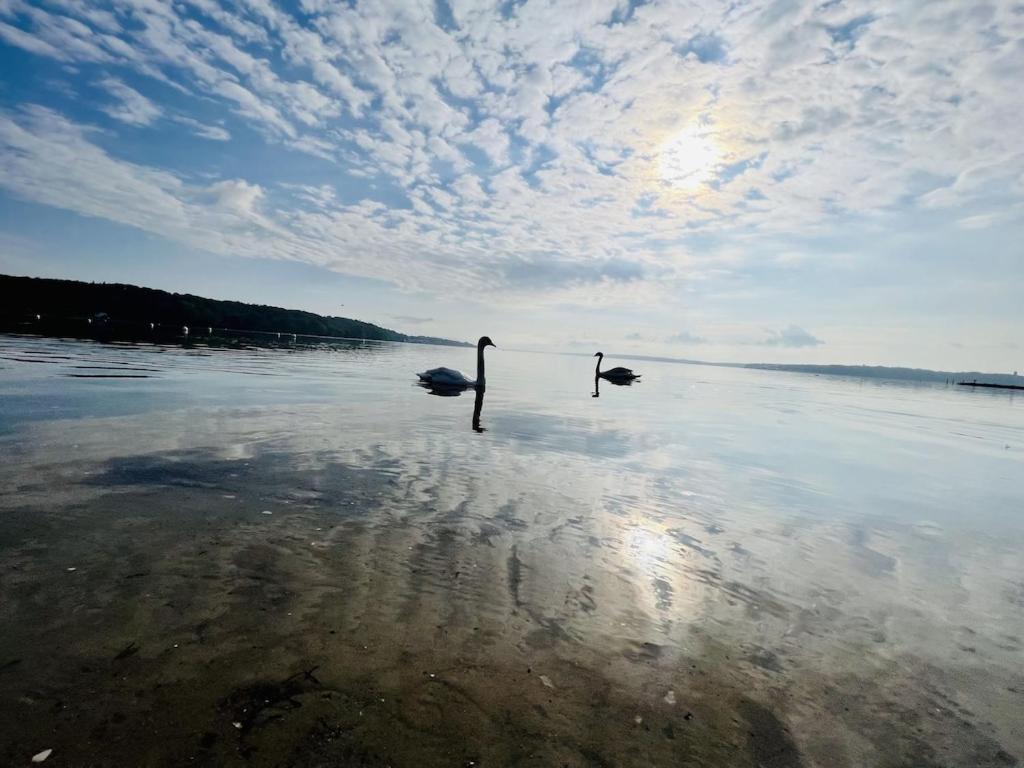 'Kapitaenslounge' Vollsanierte Fewo Mit Blick Auf Die Flensburger Foerde Harrislee Exteriör bild